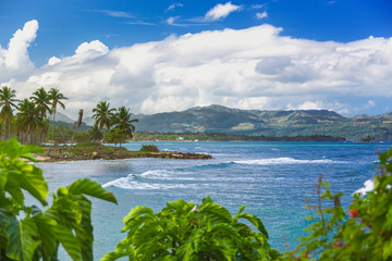 Fototapeta na wymiar Amazing Caribbean landscape. Green plants on a background of turquoise sea and sky