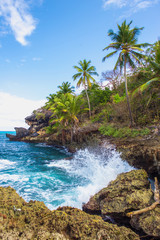 Wild tropical rocky shore, bay, lagoon. Sea stormy Splash, Green palm trees on the rocks. Las Galeras, Samana, Dominican Republic