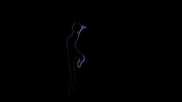 Computer graphics on black background, girl ballerina dances in tights