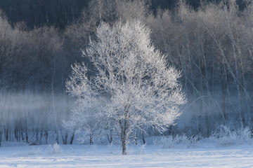 Obraz na płótnie Canvas 冬の風景