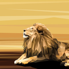 Lion cat animal low poly design. Triangle vector illustration.