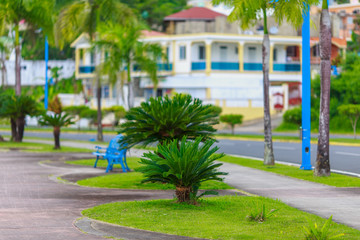 Fototapeta premium Beautiful landscape in the Park. Green plants, blue benches