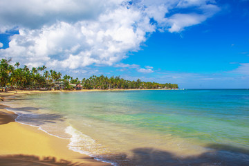 Ideal vacation. Perfect beach in Dominican Republic. Blue sea, hight palm trees and blue sky