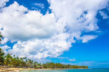 Ideal vacation. Perfect beach in Dominican Republic. Blue sea, hight palm trees and blue sky