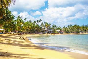 Super vacation. Tropical beach in Dominican Republic