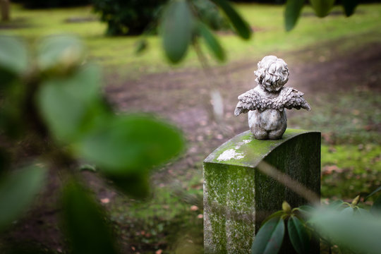 little angel at cemetery, rear view