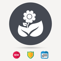 Flower icon. Florist plant with leaf symbol. Calendar, shield protection and new tag signs. Colored flat web icons. Vector