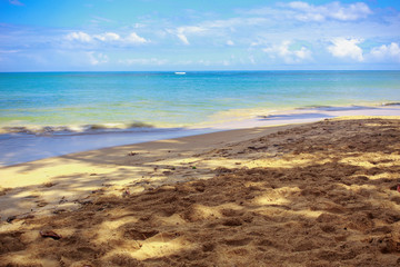 Paradise on Earth. Caribbean empty sandy beach.