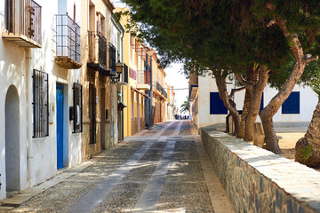 Fototapeta na wymiar Charming narrow street in the Island of Tabarca. Spain