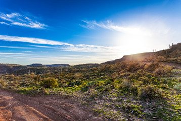 Off road track in the Arizona desert's Table Mesa recreation area - the Bradshaw Mountains lit by late Winter afternoon sunshine