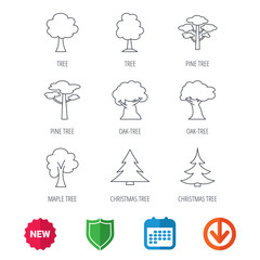 Pine tree, maple and oak icons. Christmas trees linear signs. Forest trees flat line icons. New tag, shield and calendar web icons. Download arrow. Vector