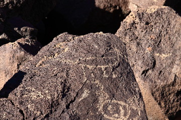 Animal Petroglyph at Petroglyphy National Monument