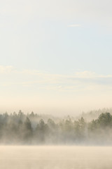 Obraz na płótnie Canvas Foggy forest and lake at dawn 