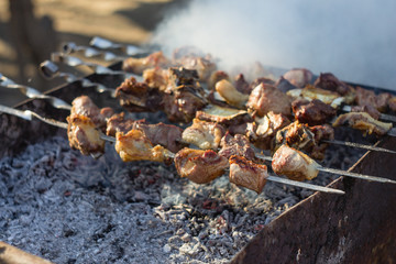 Georgian Food Mtsvadi, BBQ on Stick
