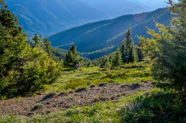 View from Hurricane Ridge, Olympic National Park