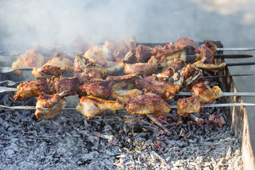 Georgian Food Mtsvadi, BBQ on Stick