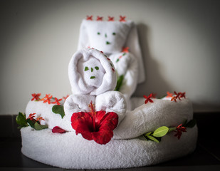 Towel Characters with Flowers in Dominican Republic 