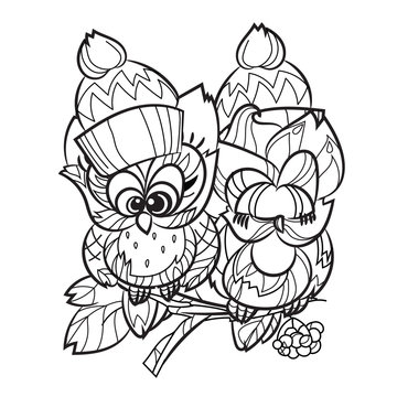 Pretty Owl on tree branch