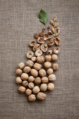 Walnuts