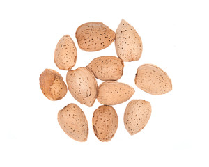Raw organic almonds in shell isolated on white background