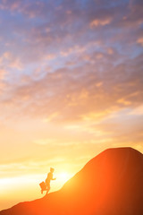 silhouette of businesswoman