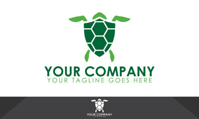 Turtle logo, turtle illustration, turtle vector template