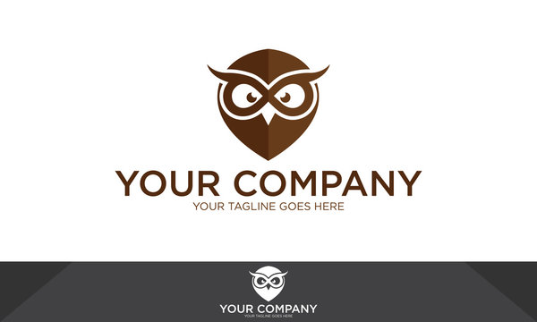Owl logo, owl illustration, owl vector template