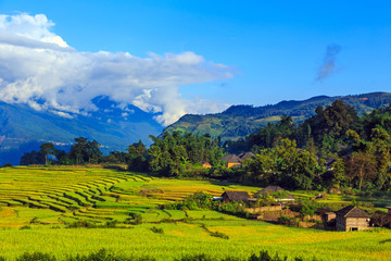 Obraz premium Terraced rice fields in Vietnam