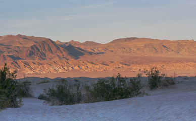 Late Afternoon at Mesquite Flat Sand Dunes 0025