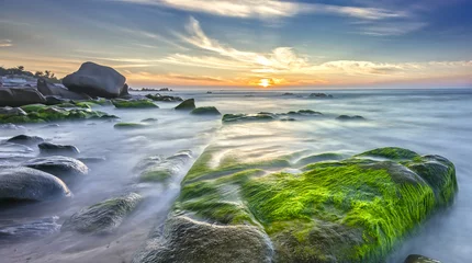 Crédence de cuisine en verre imprimé Mer / coucher de soleil Stones covered with moss and seaweed welcomes dawn  beautiful new day