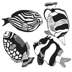 Set of black and white tropical fish.