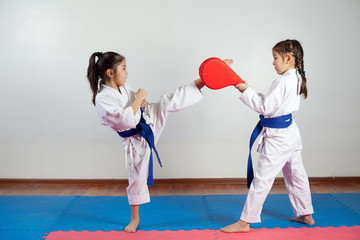 Two little girls demonstrate martial arts working together