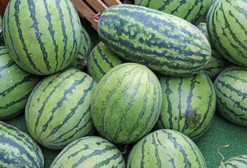 A lot of big sweet green organic ripe watermelons in the farmers Market in thailand, Asia. Nutrition And Vitamins. Healthy Raw Diet Food.