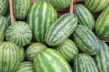 A lot of big sweet green organic ripe watermelons in the farmers Market in thailand, Asia. Nutrition And Vitamins. Healthy Raw Diet Food.