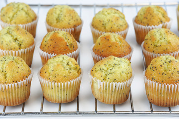 fresh baked small lemon muffin on the rack