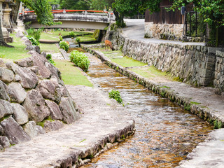 広島県 廿日市市 宮島 厳島神社 シカ