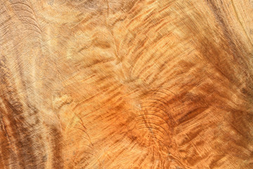Wooden felling tree background