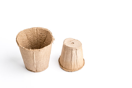 Peat pot for seedling it is isolated on a white background