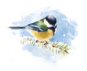 Obraz premium Watercolor Bird Tit Sitting On The Fir Branch Hand Drawn Winter Snow Illustration 