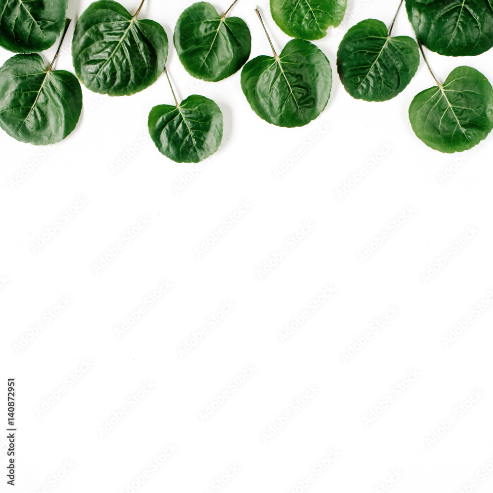 Sticker Green leaves pattern on white background. Flat lay, top view. Blog header