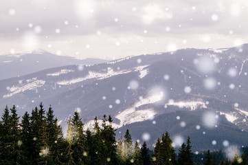 Fototapeta na wymiar Живописная снежная долина в Карпатских горах