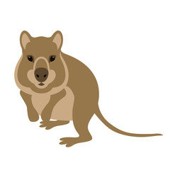 quokka vector illustration style Flat