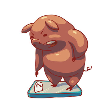 Vector cartoon image of a funny plump pink displeased pig standing on floor scales on a white background. Color image. Positive character, farm. Vector illustration.
