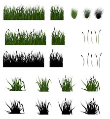 set of swamp grass and some hummocks - obrazy, fototapety, plakaty