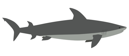 Schematic Shark in profile