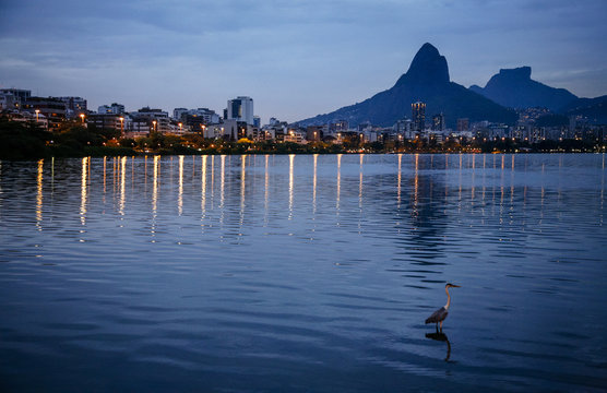 Lagoa Rodrigo de Freitas lake, Rio de Janeiro, Brazil.