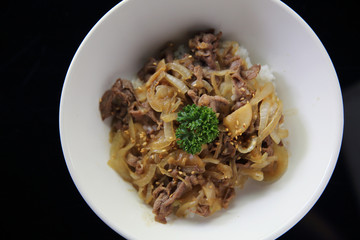 Gyudon beef bowl Japanese food