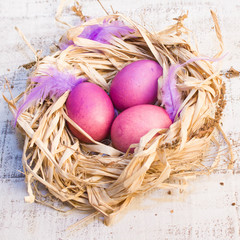 Easter eggs in nest, bird feathers on white wooden background.
