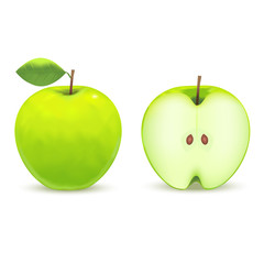 Realistic Green Apple. Vector
