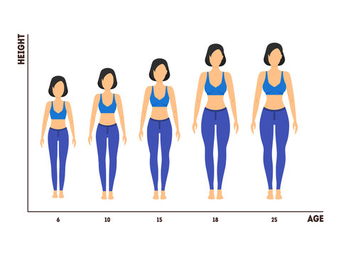 Height and Age Measurement of Growth from Girl to Woman. Vector